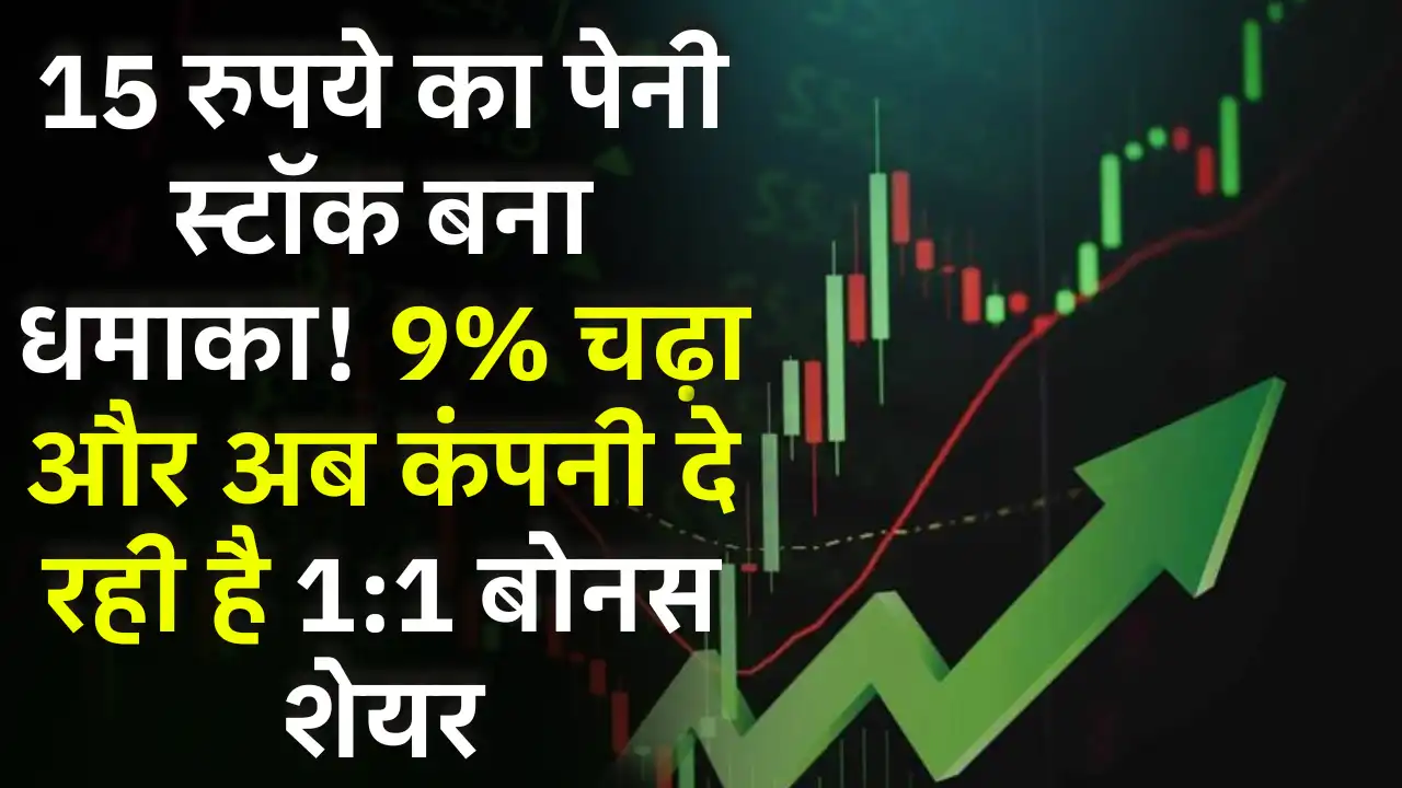 Today's Pro Fin Capital Share Price